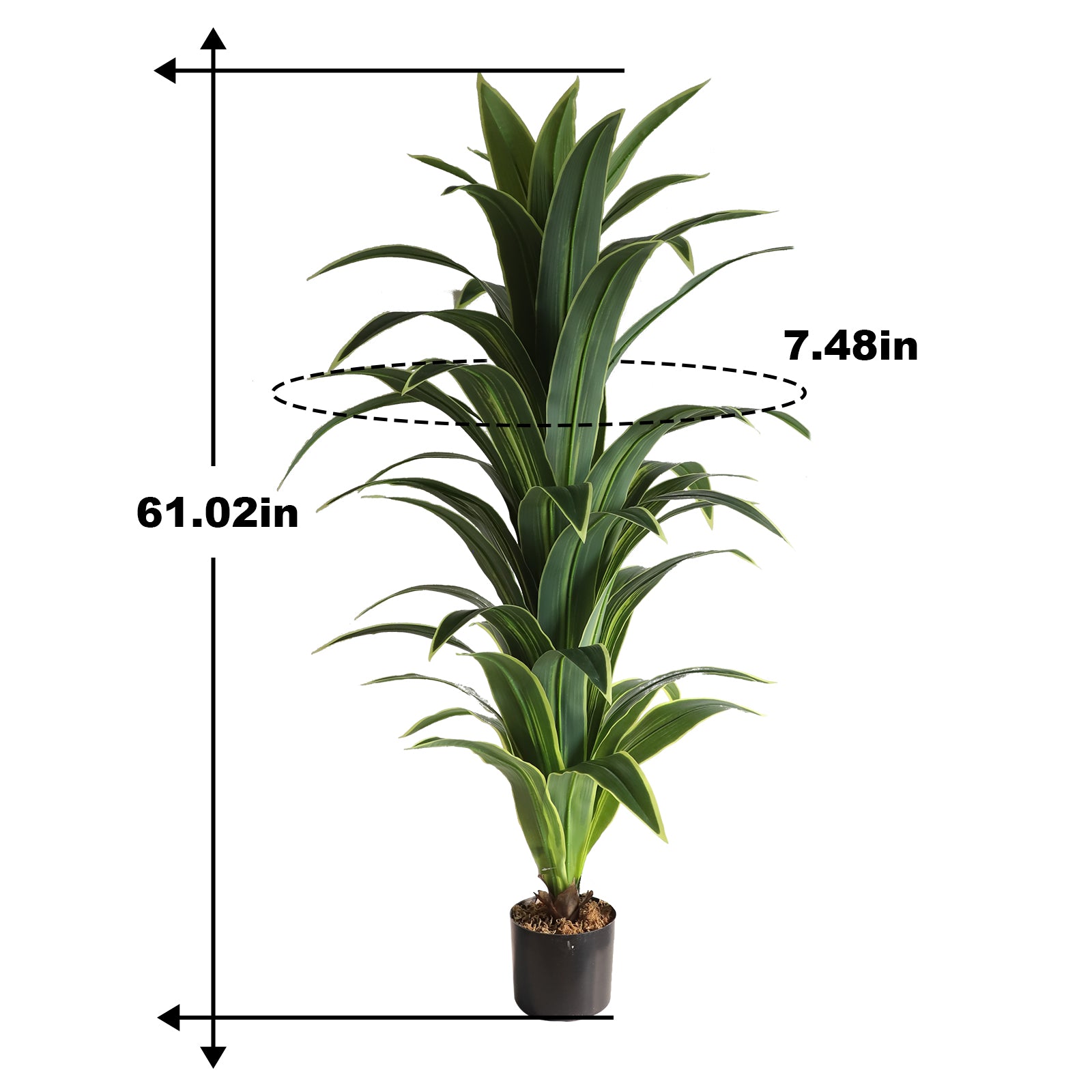 Money Tree Leaves for Prosperity and Good Fortune