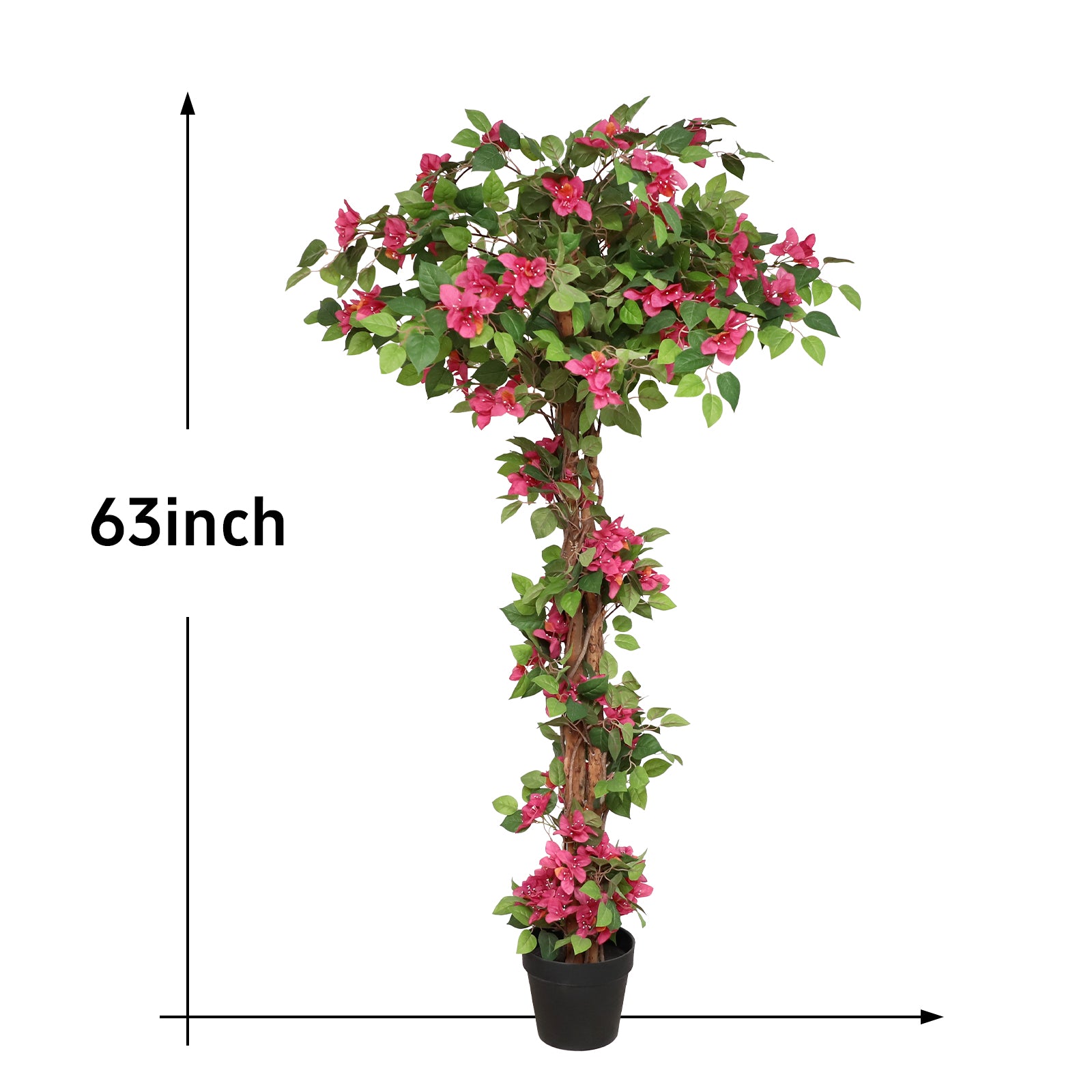 Bougainvillea Tree Decor: Where Simplicity Meets Splendor