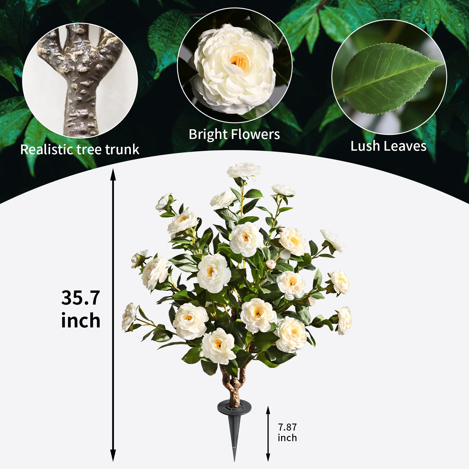 Two pieces of pure innocence(White Camellia)