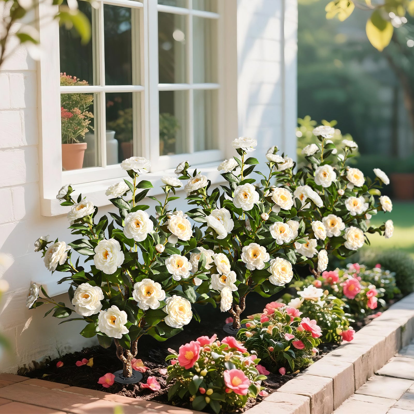 Two pieces of pure innocence(White Camellia)