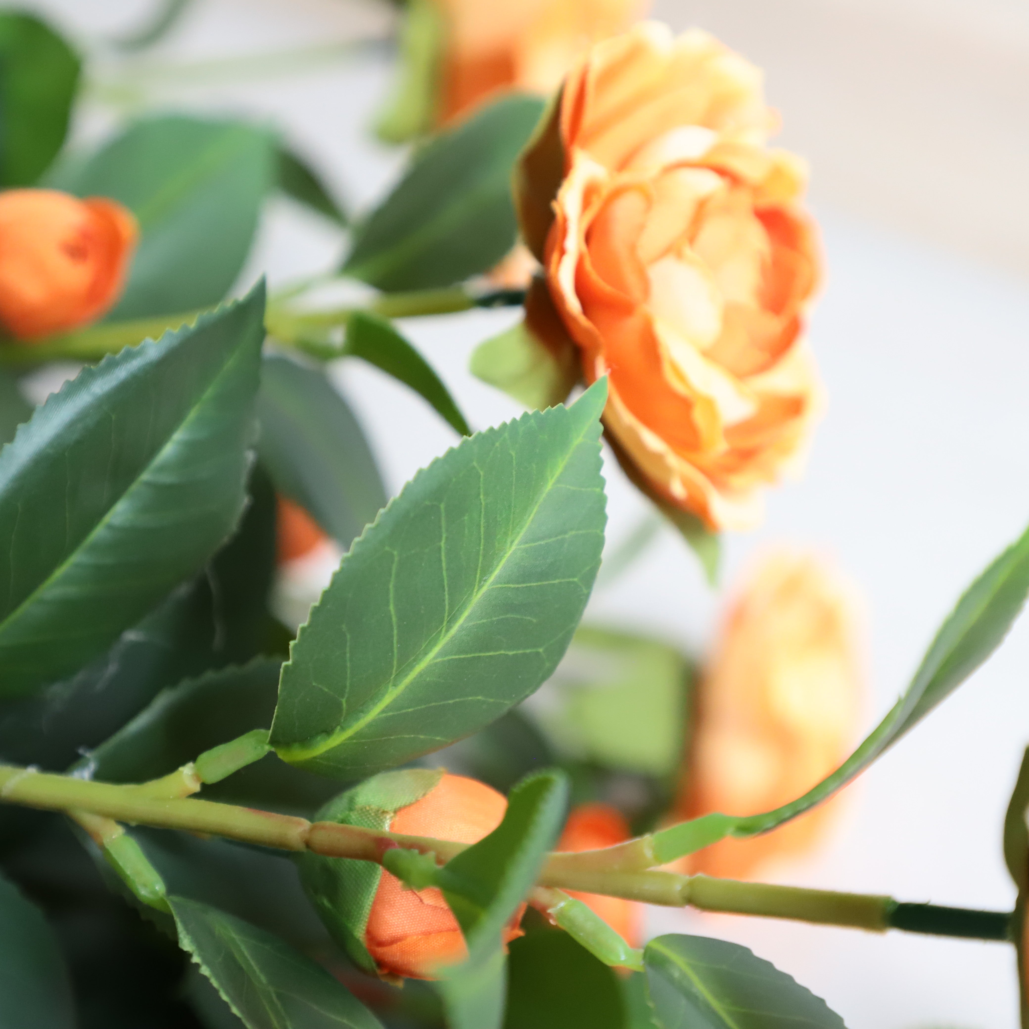 Two pieces of warm companionship(orange Camellia)