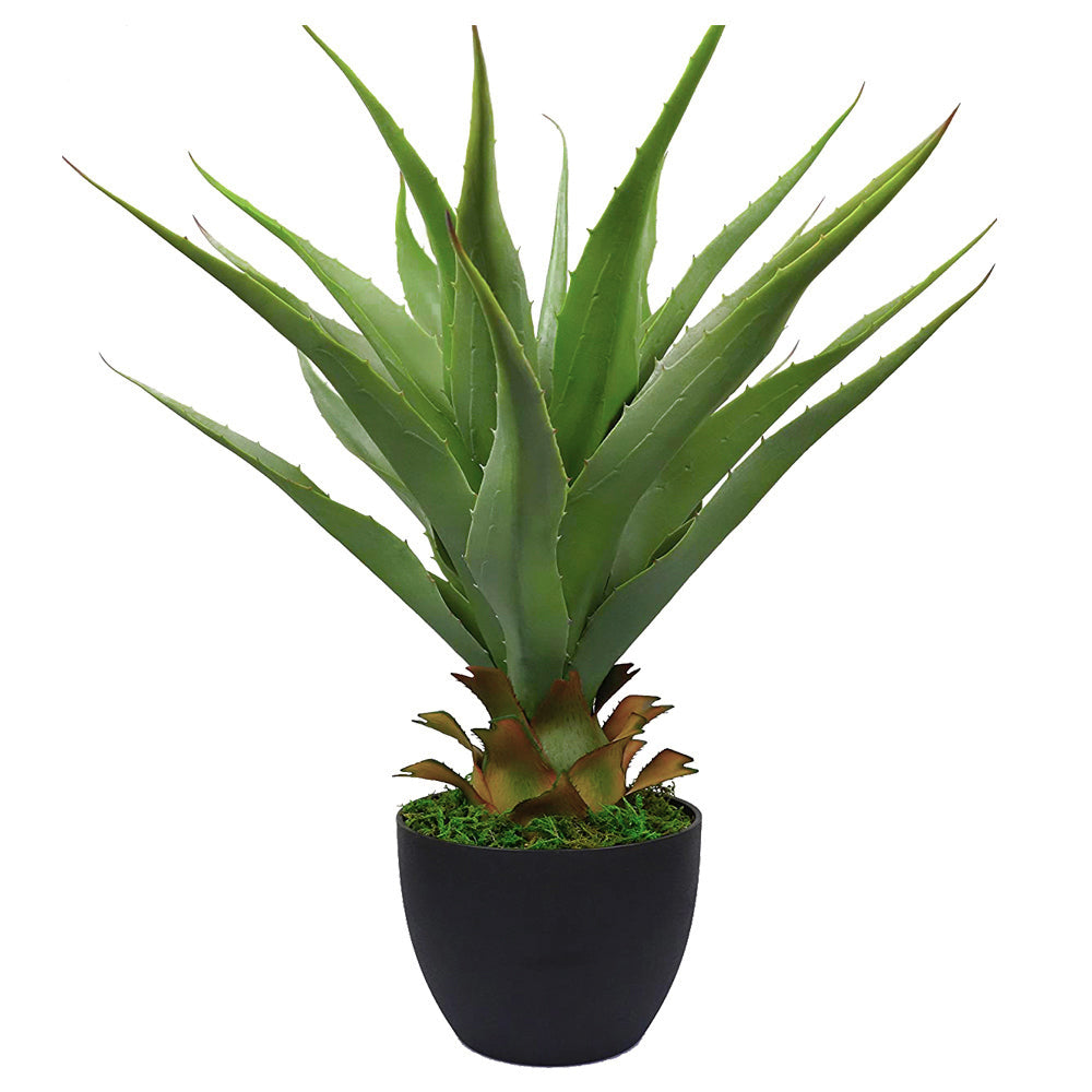 Farewell Tequila Mini - Perfect Agave Artificial Plant Gift for Tequila Lovers