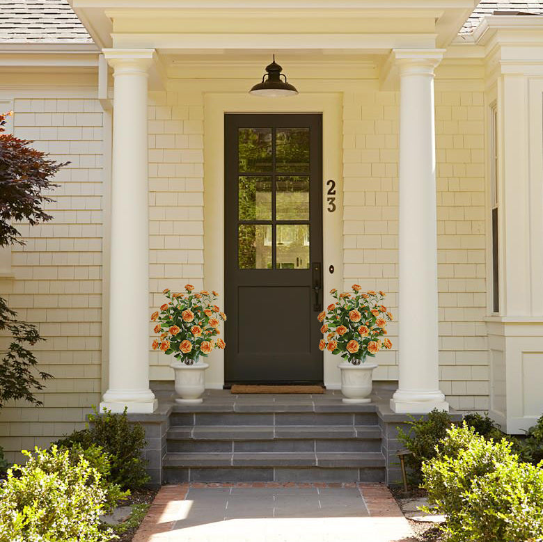 Two pieces of warm companionship(orange Camellia)