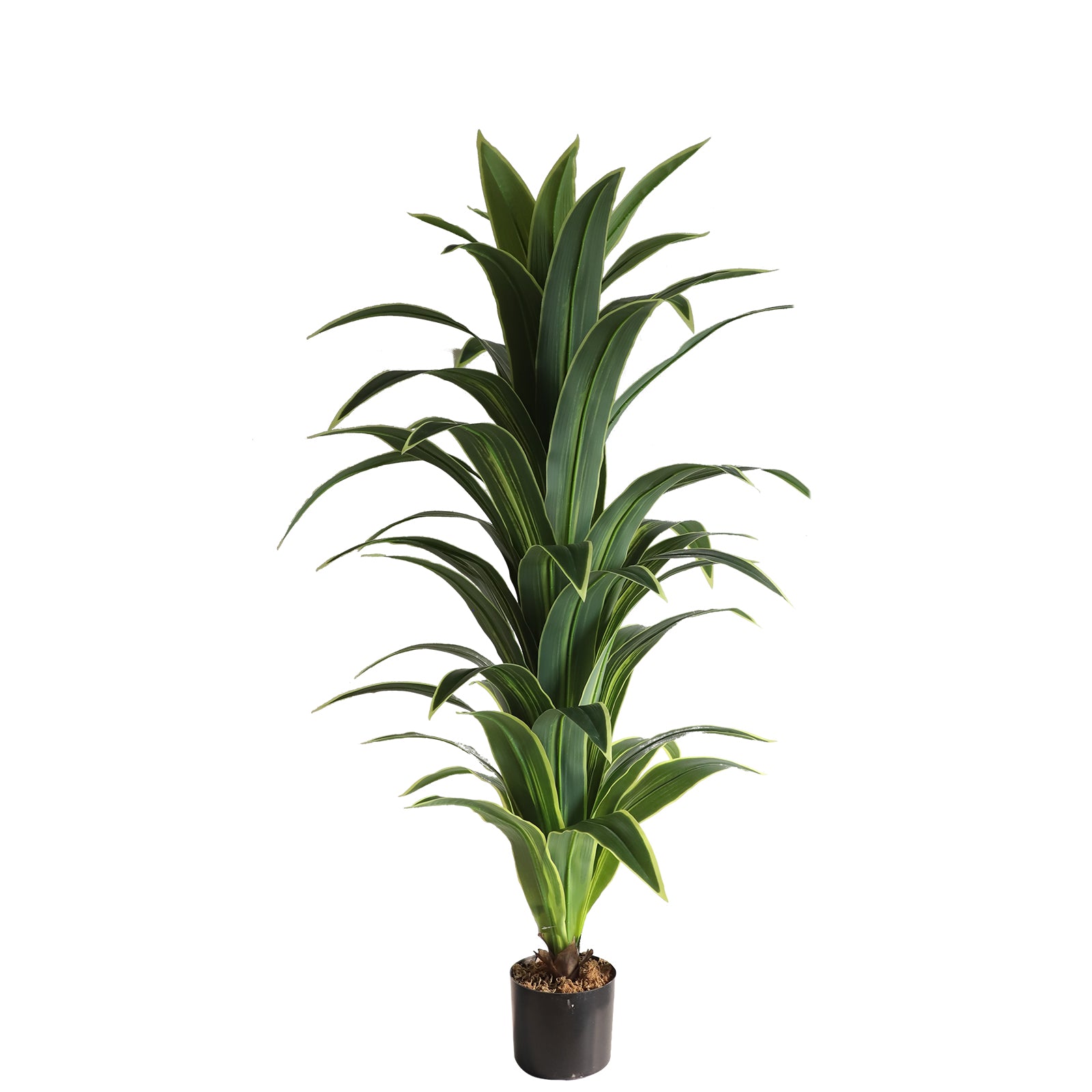 Money Tree Leaves for Prosperity and Good Fortune