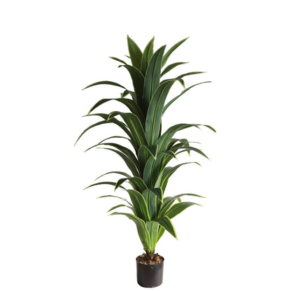 Money Tree Leaves for Prosperity and Good Fortune