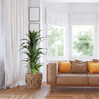 Money Tree Leaves for Prosperity and Good Fortune