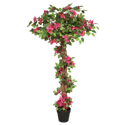Bougainvillea Tree Decor: Where Simplicity Meets Splendor