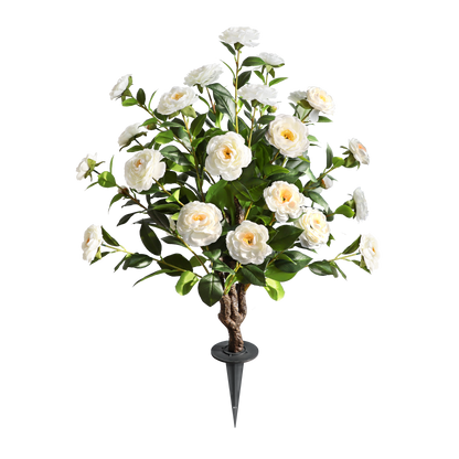 Two pieces of pure innocence（White Camellia）