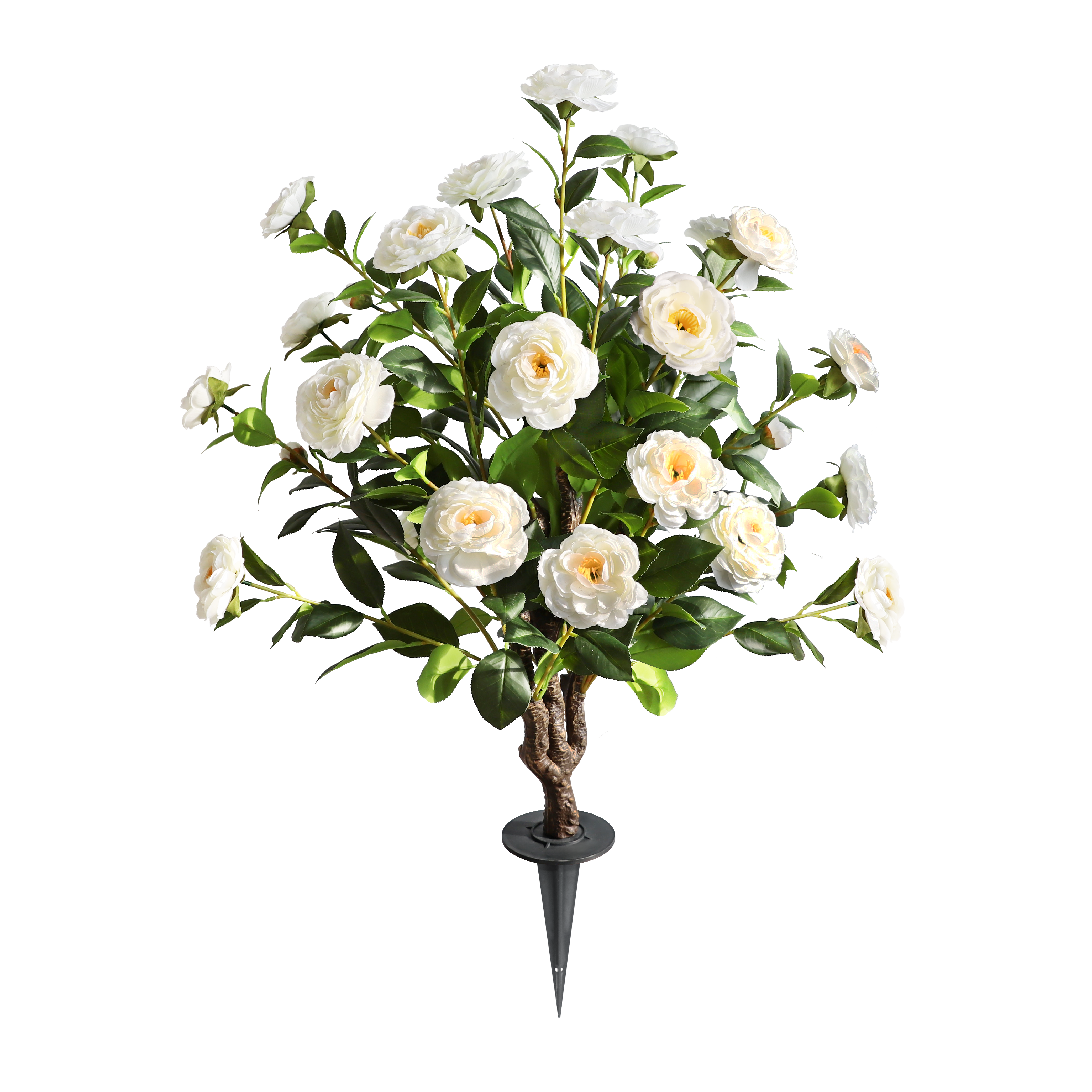 Two pieces of pure innocence（White Camellia）