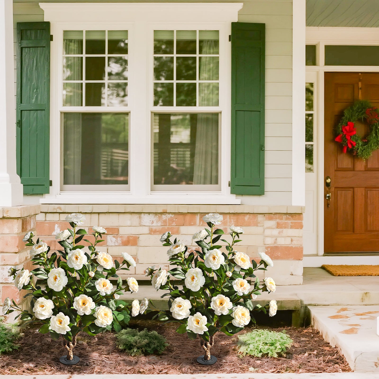Two pieces of pure innocence（White Camellia）
