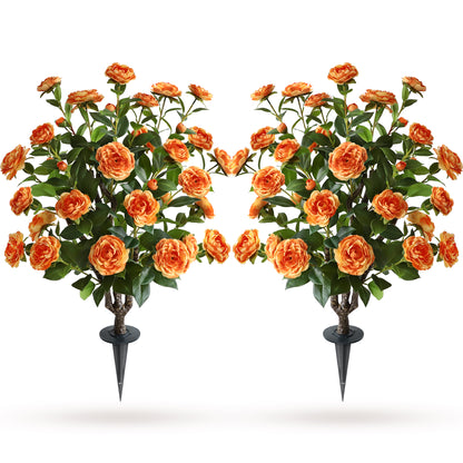 Two pieces of warm companionship（orange Camellia）