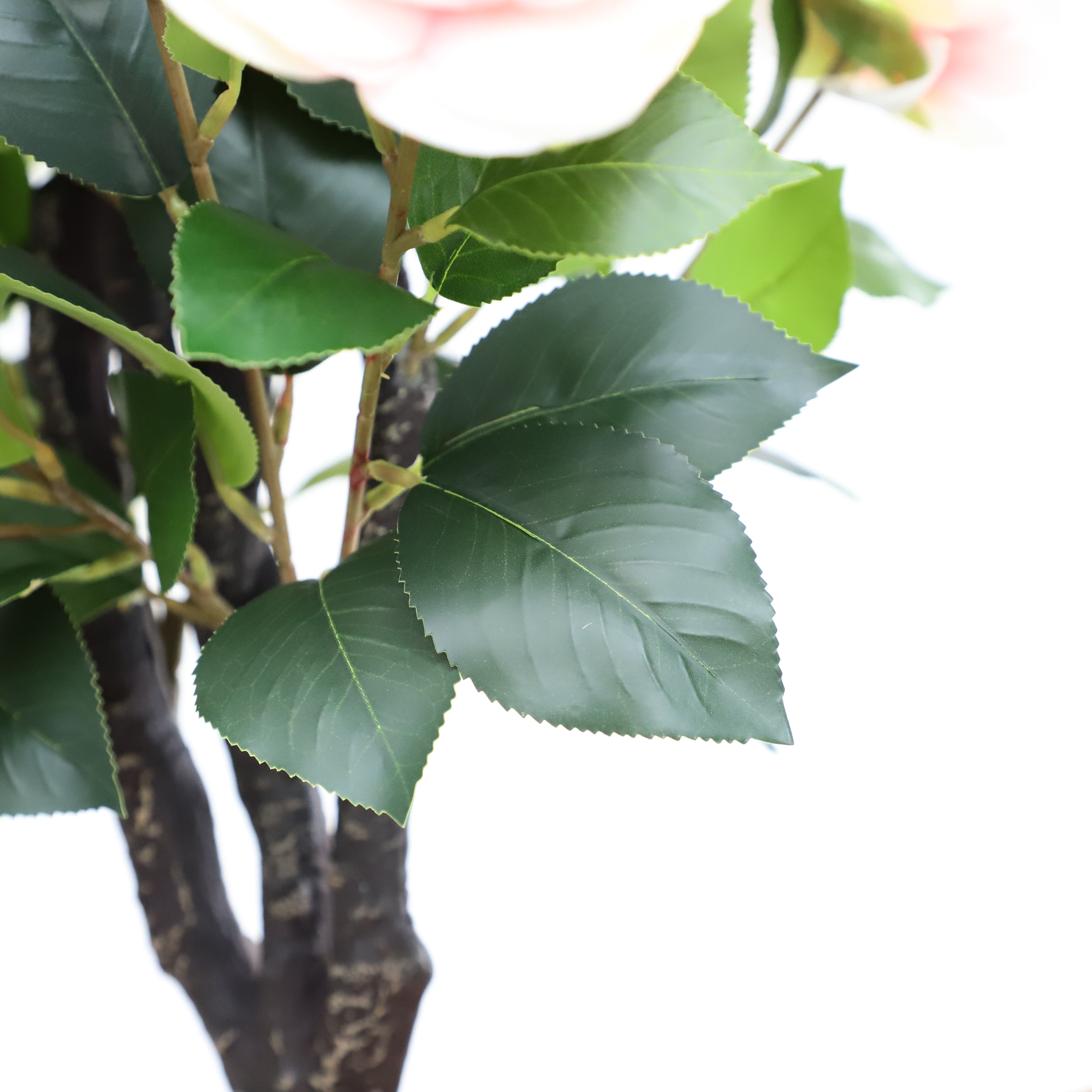 Sincere Love Pink Camellia Flower - A Touch of Elegance