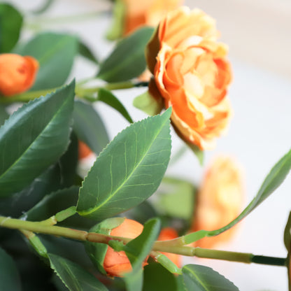 Two pieces of warm companionship（orange Camellia）