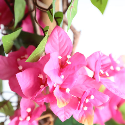Bougainvillea Tree Decor: Where Simplicity Meets Splendor