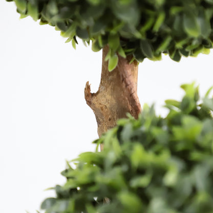 All Things in Three Lives (Three-Sphere Milan Shaped Tree)