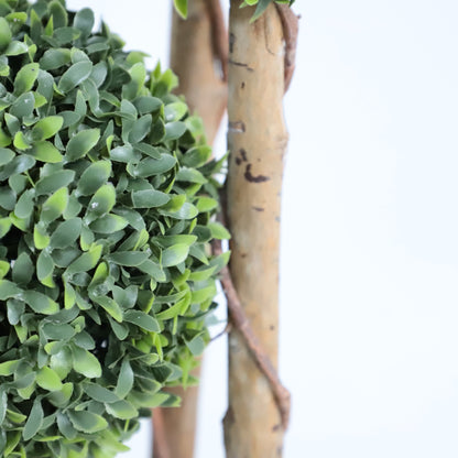 All Things in Three Lives (Three-Sphere Milan Shaped Tree)