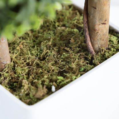 All Things in Three Lives (Three-Sphere Milan Shaped Tree)