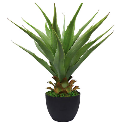 Farewell Tequila Mini - Perfect Agave Artificial Plant Gift for Tequila Lovers